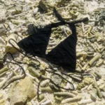 Black Layla triangle bikini top with adjustable ties for personalised fit.