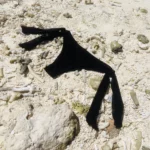 Black Ava Bottom bikini with adjustable ribbon ties for chic beach style.